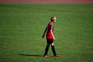 Jiu You-中国足球职业俱乐部球员转会市场活跃度提升，中国足球协会球员身份与转会管理规定  第1张