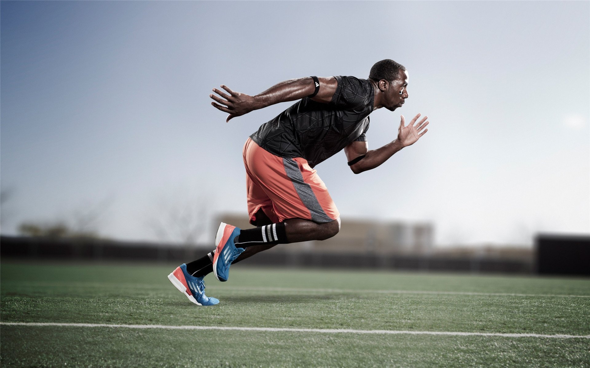 九游-荷兰女子蝶泳项目全面爆发，荷兰女子田径