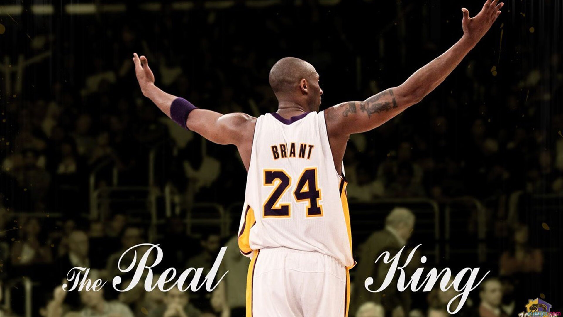 九游体育网站入口-萨默·麦金托什用实力回应所有质疑，麦金托什设计的作品